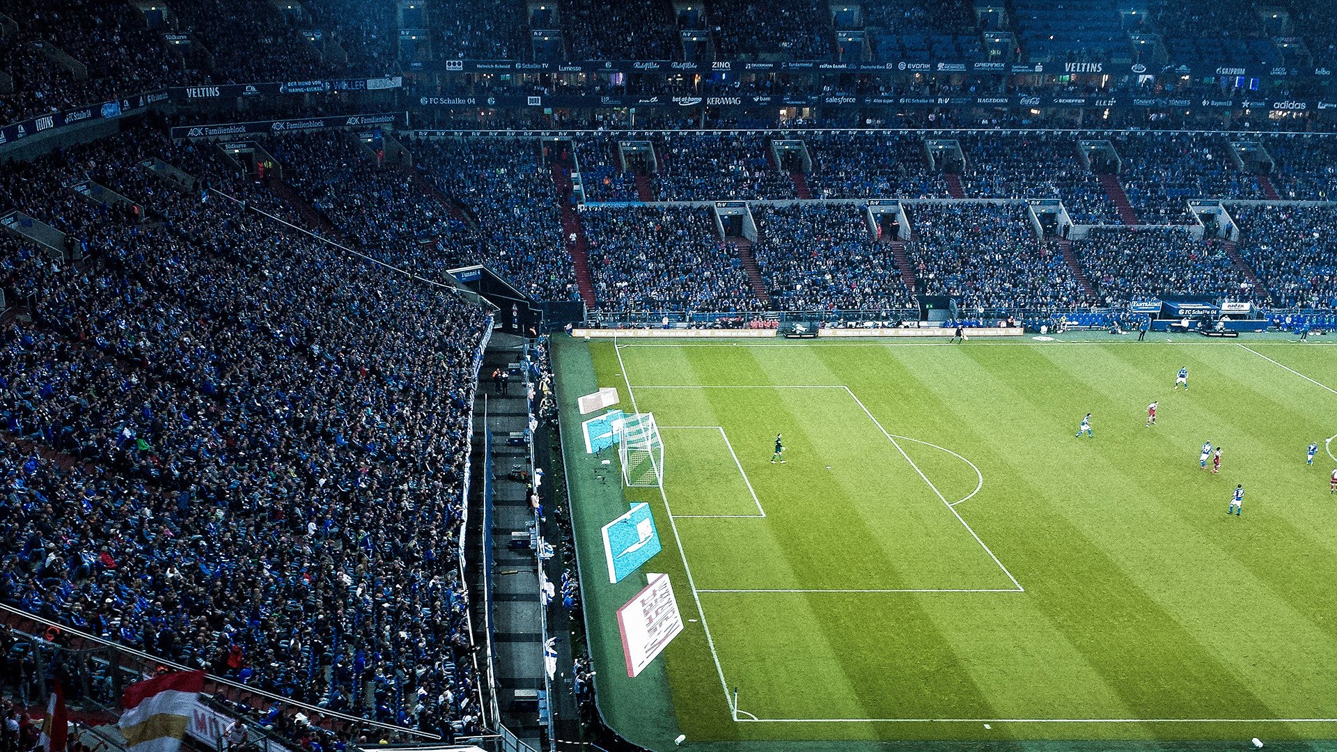 “雪原冠军：白色王者的荣耀战役”，白色雪原是什么短语类型